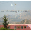 wind and solar LED Light 300w CE